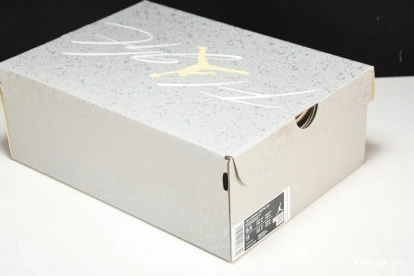Craft SE Photon Dust 4 Retro Jordan 1002